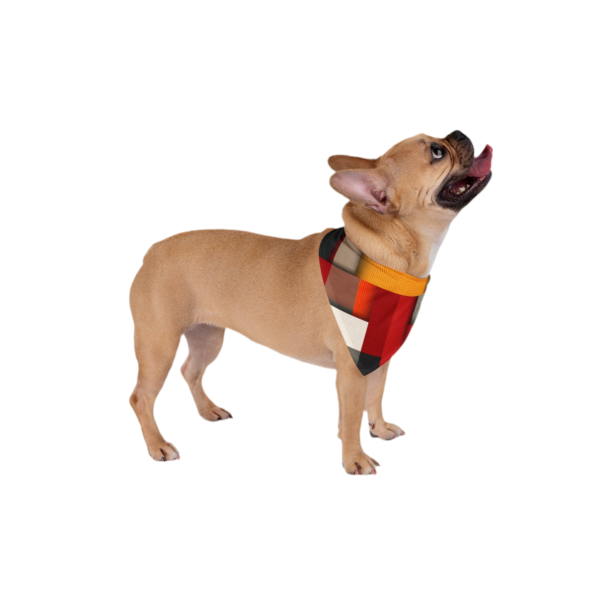 Maison Verne Pet Bandana, Stylish Dog Accessory